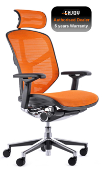 Enjoy Ergonomic Office Chair