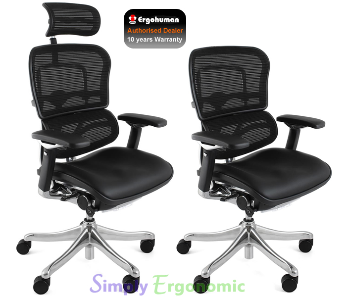 Ergohuman Plus Leather Seat Mesh Back Ergonomic Office Chair HeadRest