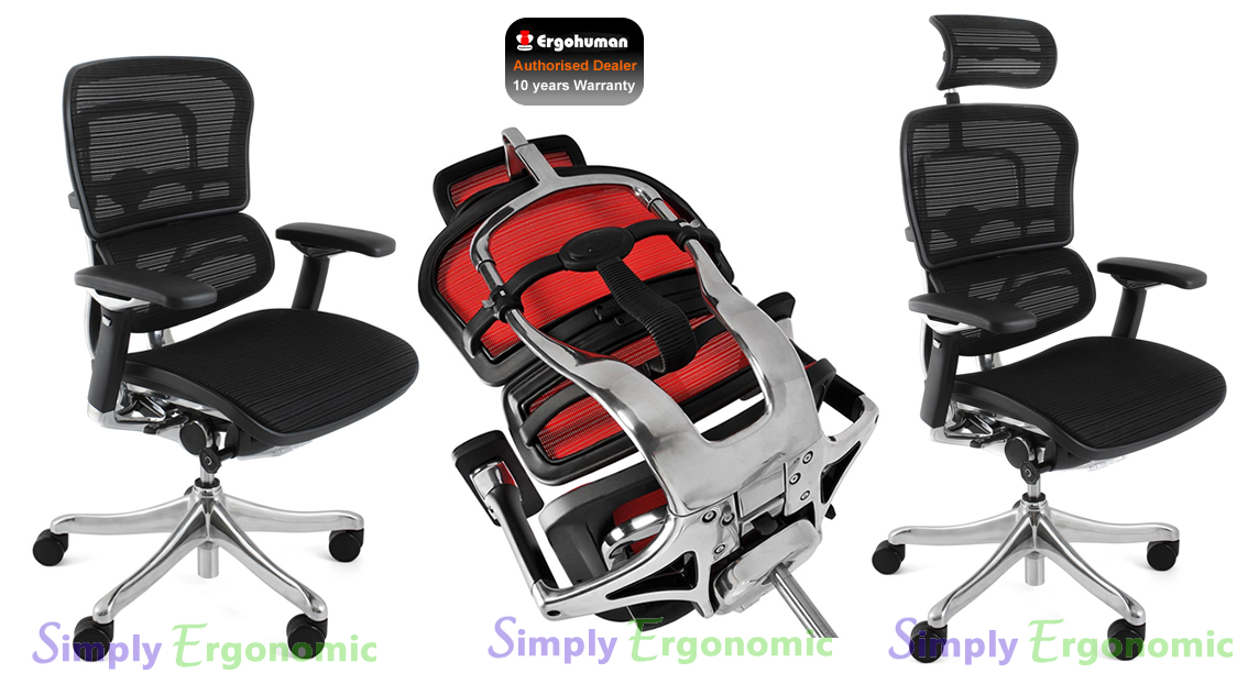 Ergohuman Plus Mesh Office Chair Mesh Ergonomic Chair