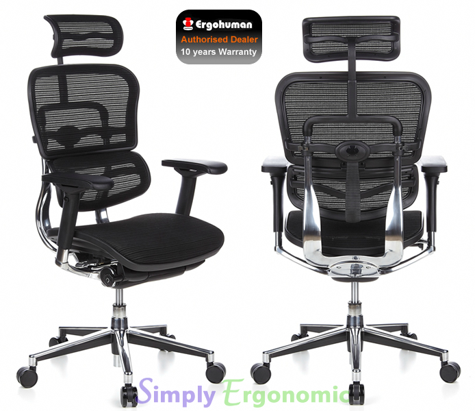 ergohuman-chair-with-Head-Rest-LG.jpg