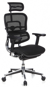 Ergohuman Chair