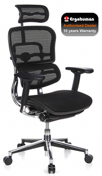 Ergohuman Office Chair Ergohuman Office Chair