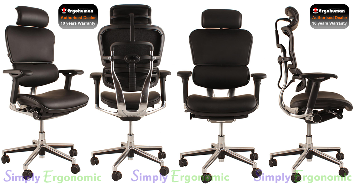 Ergonomic Office Chairs Ergohuman Leather LG 