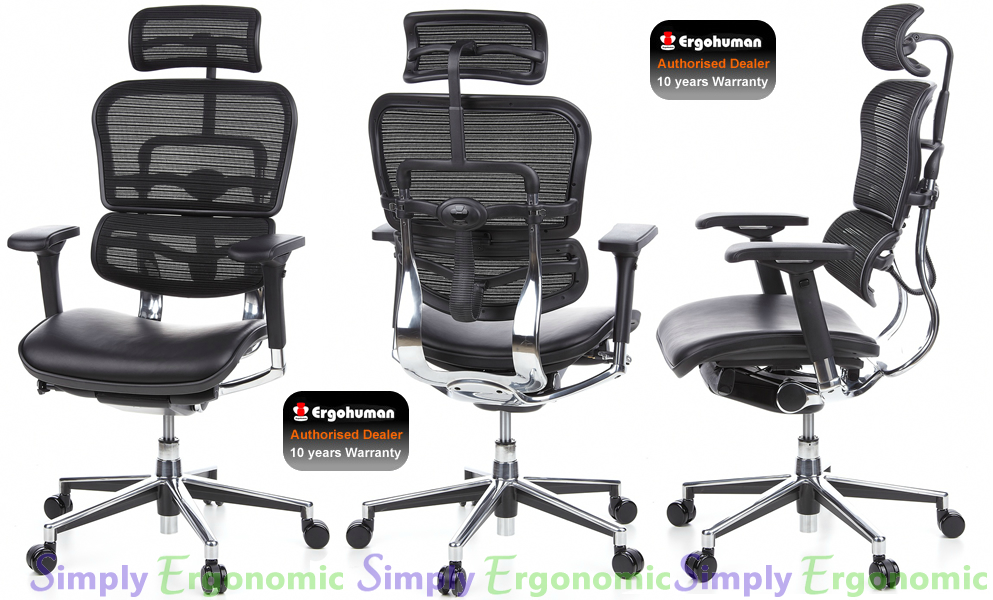 Ergohuman Leather Seat Mesh Back Office Chair