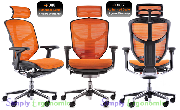 Enjoy Ergonomic Office Chair