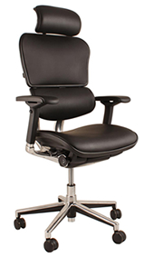 Ergohuman Leather Office Chair
