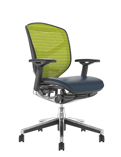 Enjoy Elite Leather Seat Mesh Back Combination Office Chair