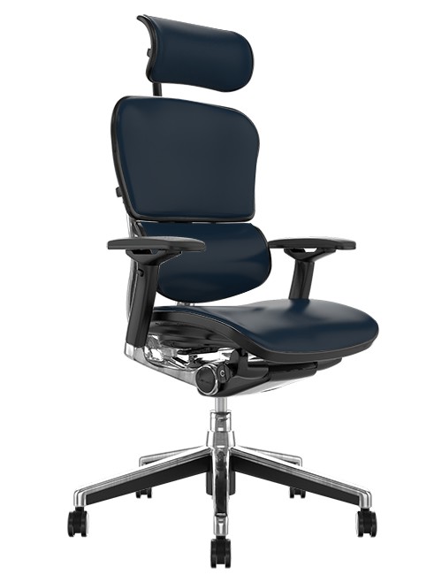 Ergohuman Black Leather Ergonomic Office Chair with Headrest
