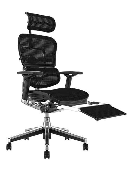 Ergohuman Elite Black Mesh Office Chair with Head Rest