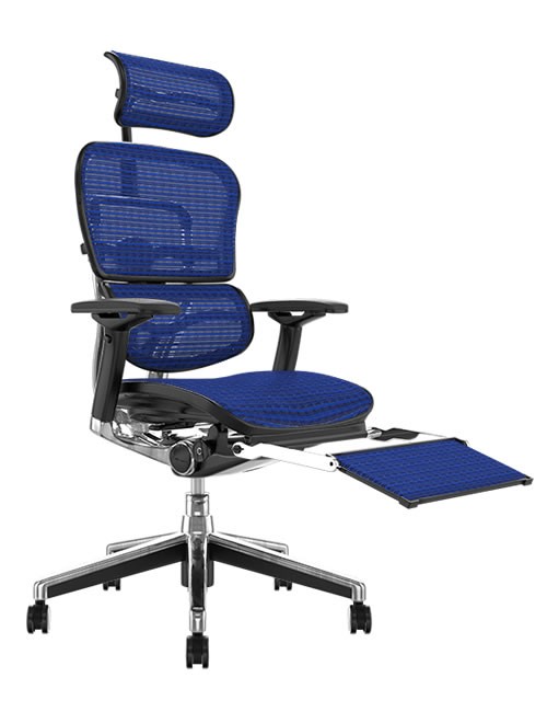 Ergohuman Elite Blue Mesh Office Chair with Head Rest and Leg Rest