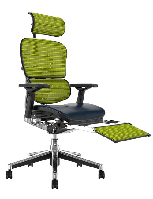 Ergohuman Elite Black Leather Seat Green Mesh Back with Head Rest and Leg Rest