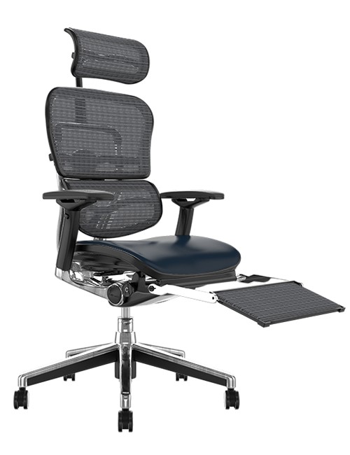 Ergohuman Elite Black Leather Seat Grey Mesh Back with Head Rest and Leg Rest
