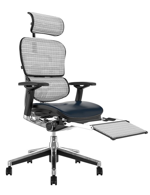 Ergohuman Elite Black Leather Seat White Mesh Back with Head Rest and Leg Rest