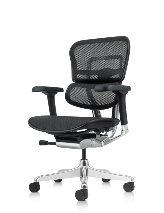 Ergohuman Plus Mesh Office Chair