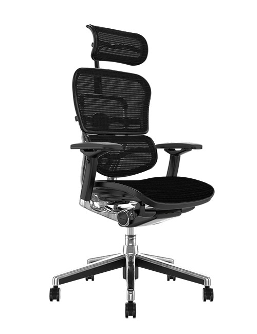 Ergohuman Mesh High Back Office Chair