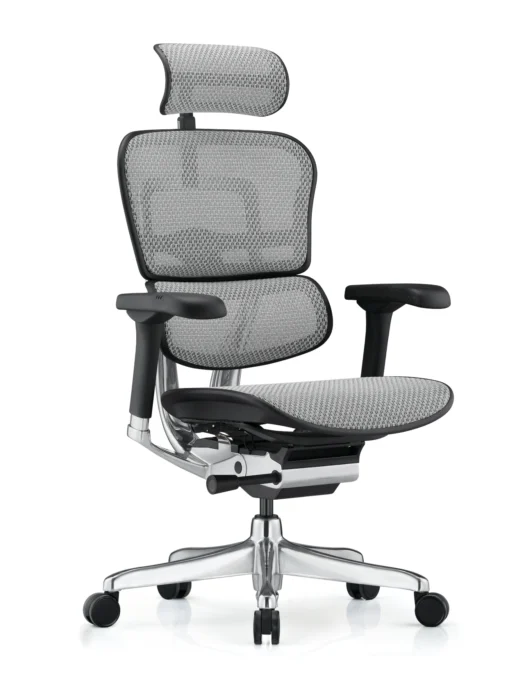 Ergohuman Elite Mesh High Back Office Chair Head Rest G2