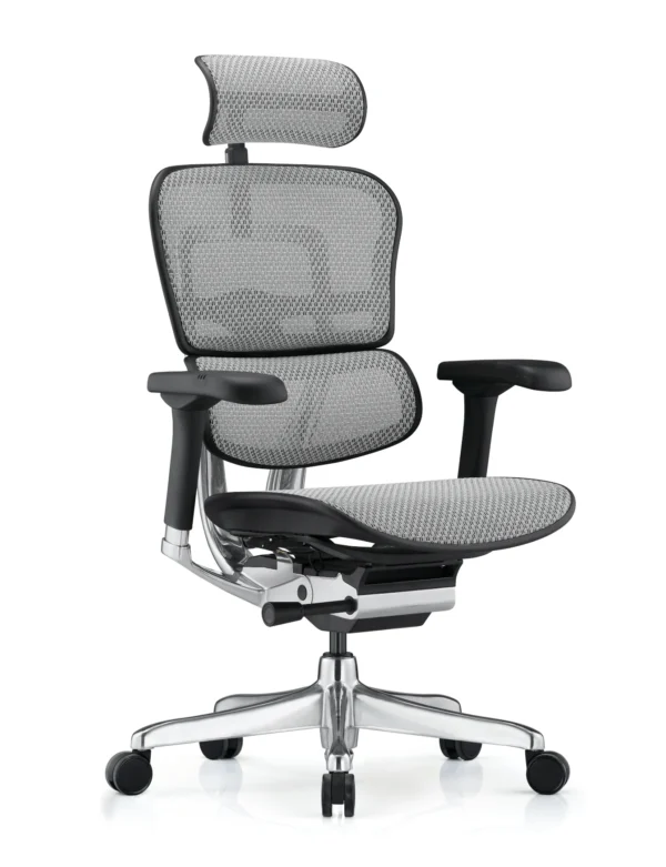 Plus size ergonomic office chair online