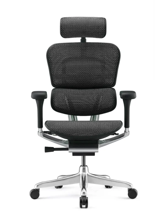 Ergohuman Plus Luxury Black Mesh Office Chair - New Model