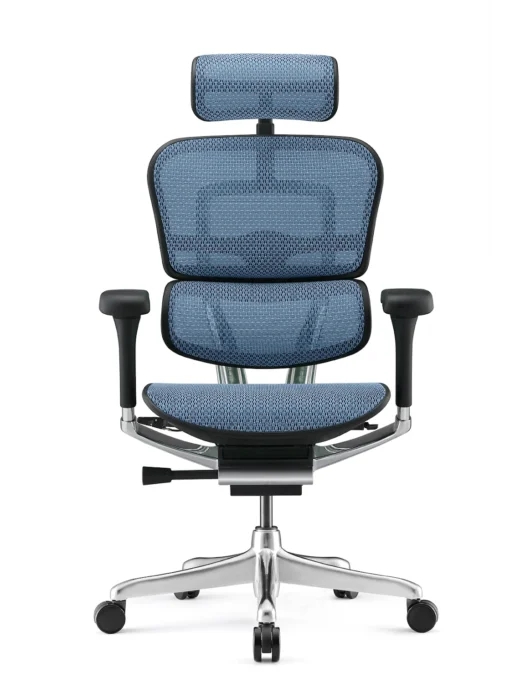 Ergohuman Elite Blue Mesh Office Chair