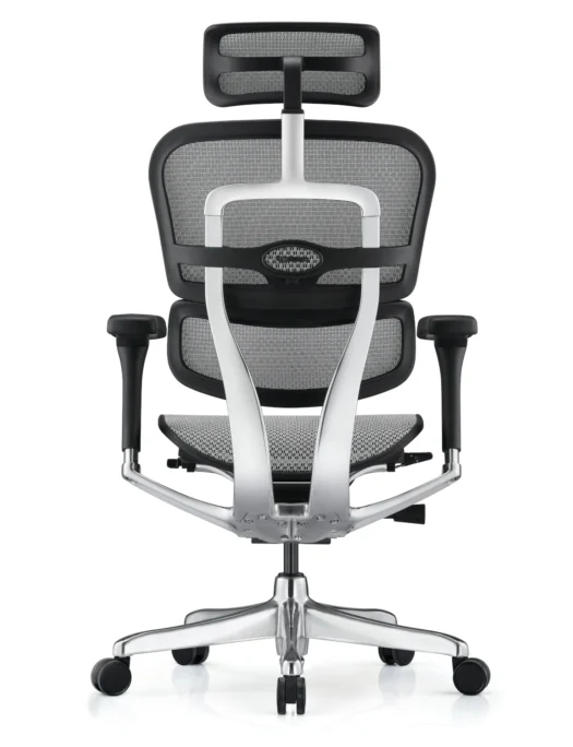 Ergohuman Plus Luxury Mesh Office Chair Back - New Model G2