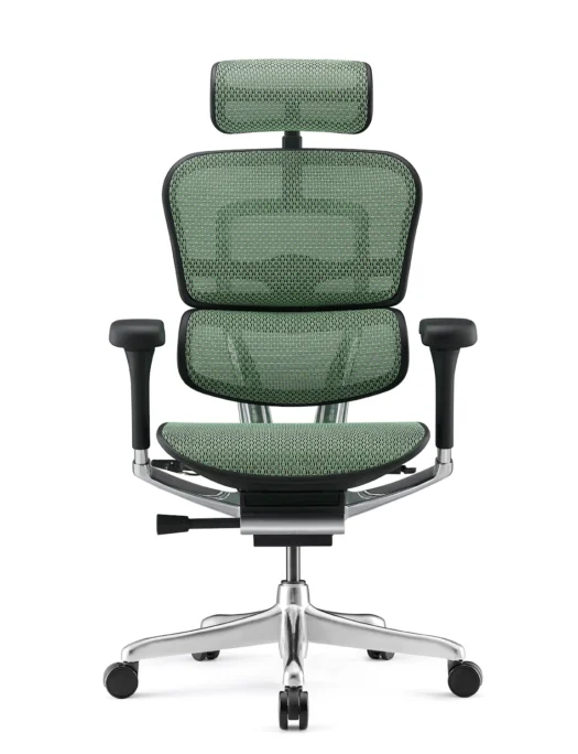Ergohuman Elite Green Mesh Office Chair