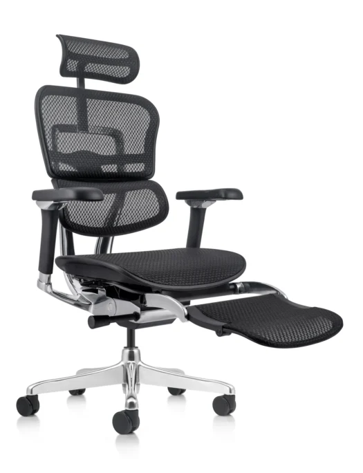 Ergohuman Elite Mesh Office Chair with Leg Rest G2