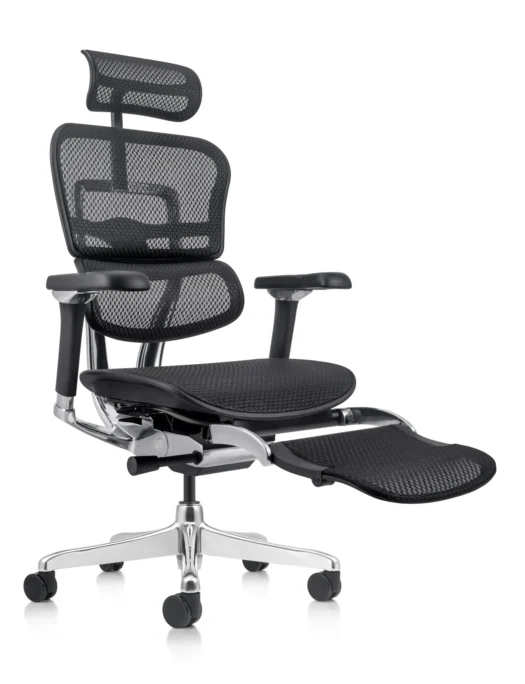 Ergohuman Plus Luxury Mesh Office Chair with Legrest - New Model